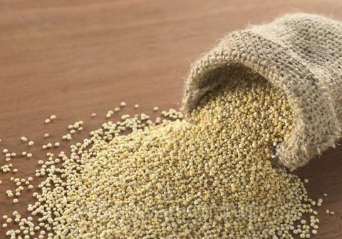 Торгово-промислова група Амарант прийме на очистку 2 тис. тонн насіння амаранту Рис.1