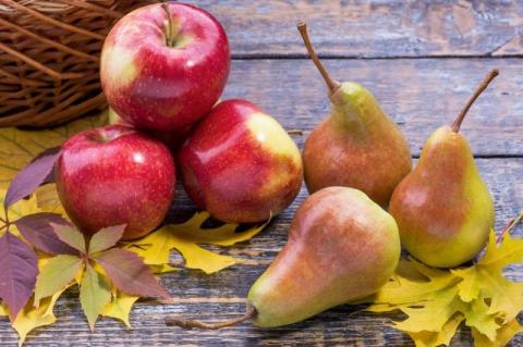 Євросоюз ввів заборону на імпорт яблук, груш і томатів з України Рис.1