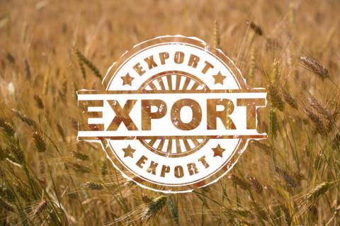 З початку 2019/20 МР з України експортовано майже 10 млн тонн зерна Рис.1