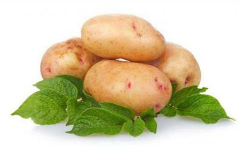 За серпень Україна імпортувала рекордний обсяг картоплі Рис.1