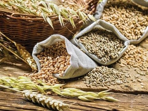 Жнива-2019: В Україні розпочато збирання цукрових буряків Рис.1
