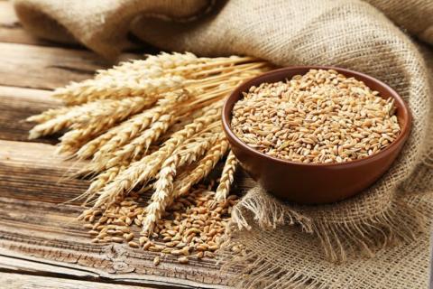 Жнива-2019: В Україні зібрано 40 млн тонн зерна Рис.1