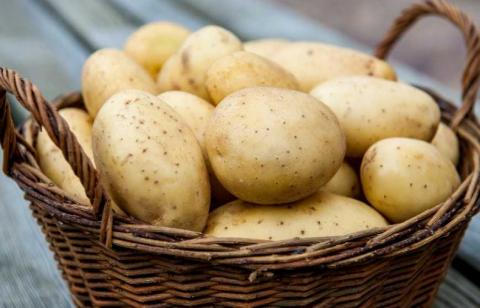 Чому в Україну масово завозять імпортну картоплю Рис.1
