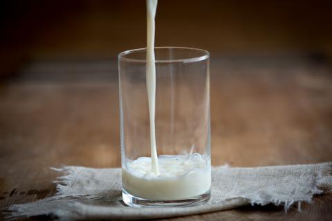 Інвестиції у виробництво вівсяного молока окупляться протягом трьох років Рис.1