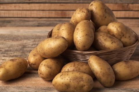 Професійні господарства зібрали на 20% менше картоплі Рис.1