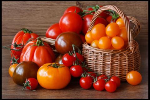 Україна імпортувала річний обсяг томатів Рис.1