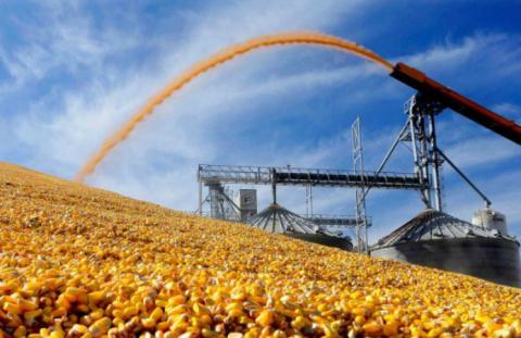 Україна відправила на експорт майже 3 млн т кукурудзи нового врожаю Рис.1