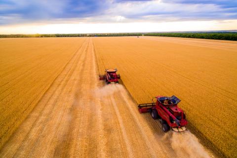 Жнива-2019: В Україні зібрано 62 млн тонн зерна Рис.1