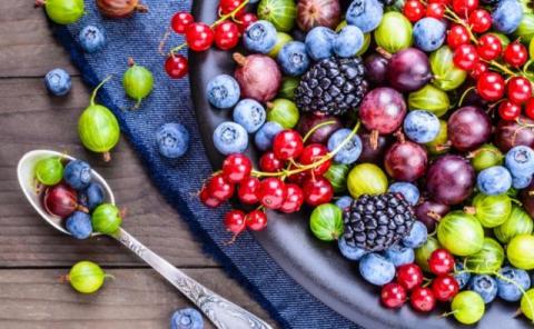 Чому Україна так дешево продає овочі, фрукти та ягоди на експорт? Рис.1