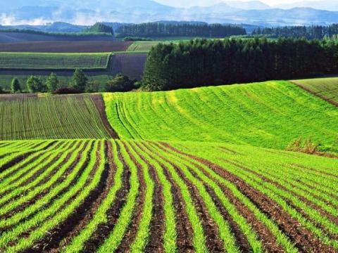 Держгеокадастр вніс дані про понад 30 млн га сільськогосподарських земель Рис.1