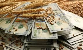 Дослідження ЄС: з України вивели $1,5 млрд прибутку від експорту зерна Рис.1