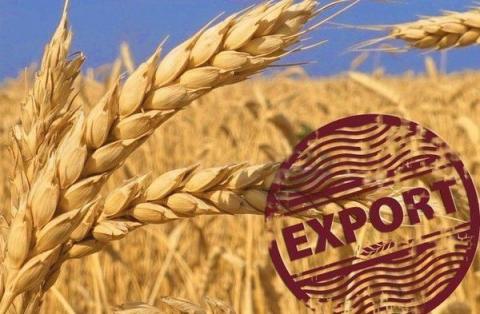 Експорт українського зерна перевищив 19,4 млн т Рис.1