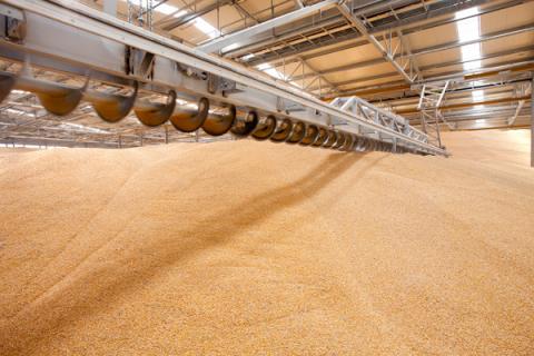 Елеватор Grain Alliance закладе у рукави у 5 разів більше зерна Рис.1
