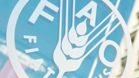 ФАО прагне підвищити обізнаність про антимікробні препарати і знизити стійкість до них Рис.1