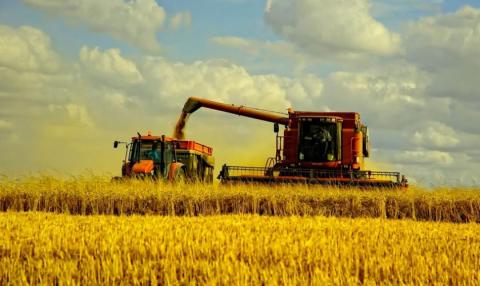 Мінекономіки повідомила про рекордний врожай зерна в Україні Рис.1