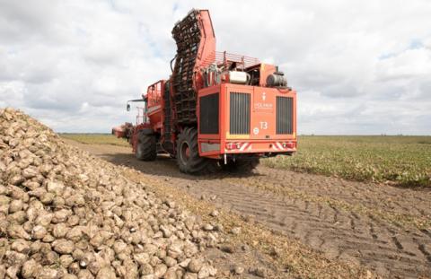 Сварог Вест Груп лідирує за врожайністю цукрових буряків на заході України Рис.1