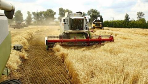 Урожай-2019: В Україні вже перевищено минулорічний збір зернових Рис.1