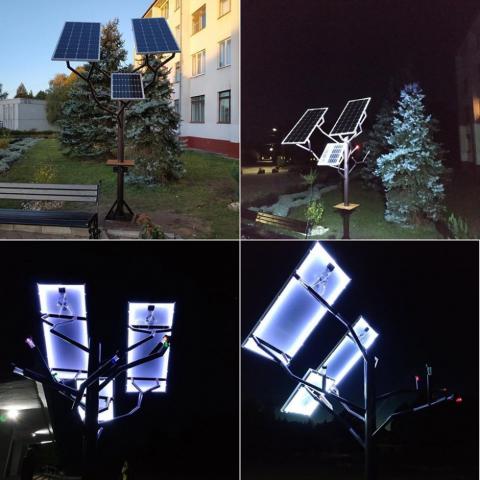 В аграрному коледжі на Рівненщині встановили «сонячне дерево» Рис.1