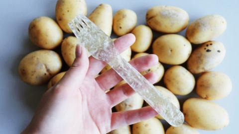 В’єтнамські студенти створили біорозкладний посуд і пакети з картоплі Рис.1