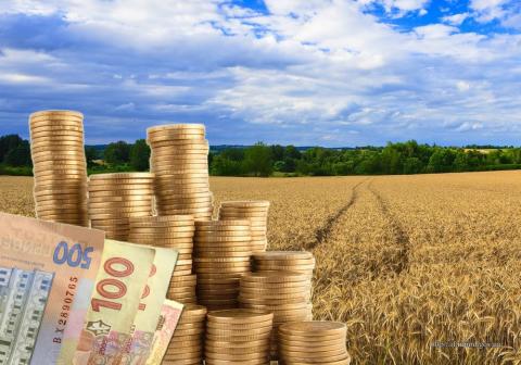 Аграрії Волині отримають 20,5 млн грн компенсації відсотків за кредитами Рис.1