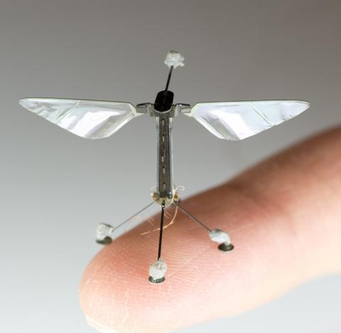 Американські розробники створили літаючих мікроскопічних роботів для запилення рослин Рис.1