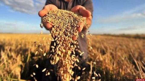 Для малих та середніх фермерів України створять фонд часткового кредитування землі Рис.1