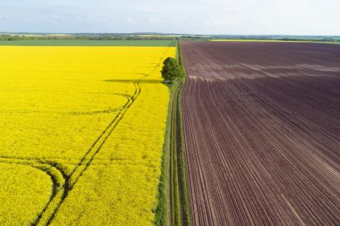 До відкриття ринку землі в Україні пропонують створити дорожню земельну карту Рис.1