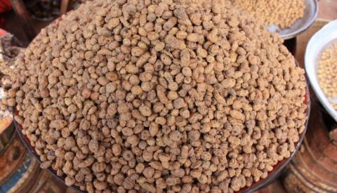 Горіх “чуфа” потіснить побратимів на світовому ринку горіхів Рис.1