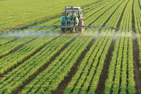 Імпорт пестицидів в Україну у жовтні 2019 року Рис.1
