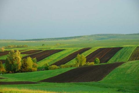 Миколаївщина стане пілотною областю для впровадження проєкту аграрного реєстру Рис.1