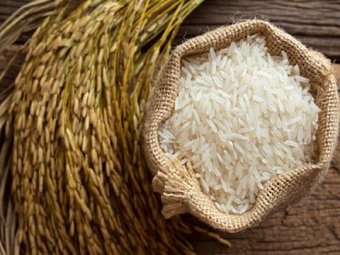 На Херсонщині зросла врожайність рису, але скоротився валовий збір Рис.1
