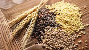 Насіннєва асоціація ініціює визнання вітчизняних виробників насіння в ЄС Рис.1