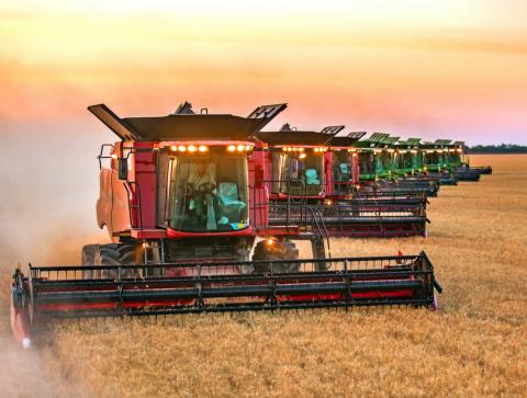 НІБУЛОН отримав найвищий за всі роки валовий збір зернових Рис.1