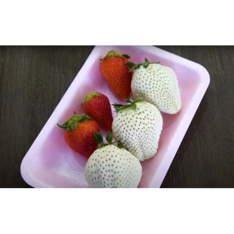 Одну ягоду білої японської полуниці Широй Хусекі продають за $10 Рис.1