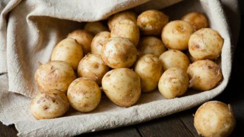 Україна почала імпортувати картоплю з РФ Рис.1