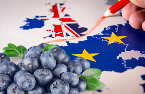 Brexit послабить позиції конкурентів України на британському ринку ягід - експерт Рис.1