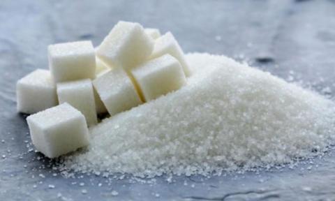 Cygnet скоротила виробництво цукру на 10% Рис.1