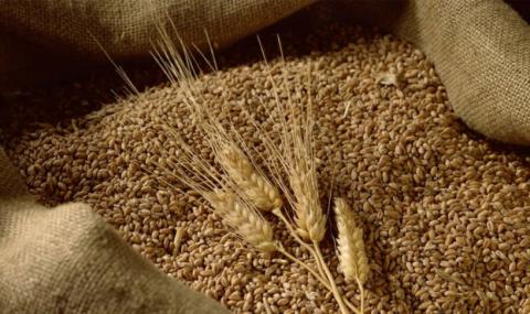 ДПЗКУ уклало договори на купівлю у фермерів майбутнього врожаю зерна Рис.1