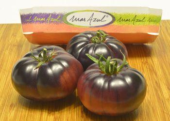 Іспанська компанія має успіх на виробництві синіх, зеленувато-рожевих та коричнево-чорних томатів Рис.1