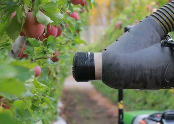 Kubota інвестує в яблукозбиральних роботів Рис.1