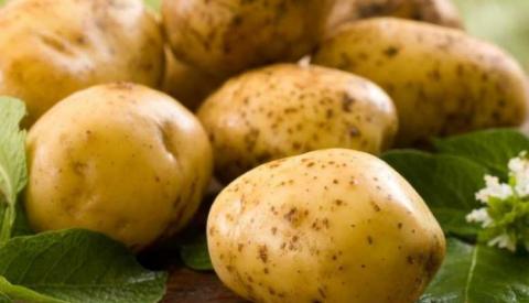 McDonald’s в Україні шукає фермерів-постачальників картоплі Рис.1