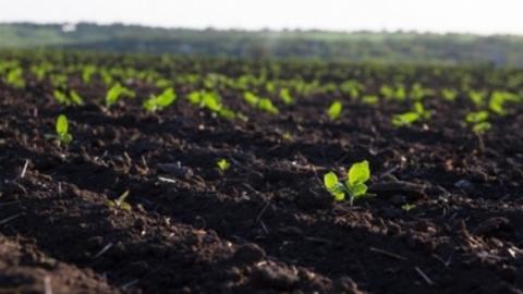 Стан українських ґрунтів стає проблемою екологічної безпеки країни Рис.1