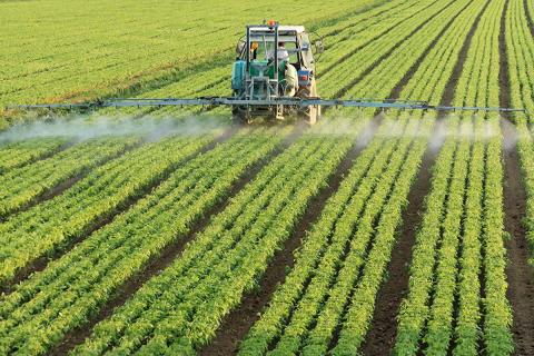 Syngenta, Bayer і BASF увійшли до трійки найбільших агрохімічних компаній світу Рис.1