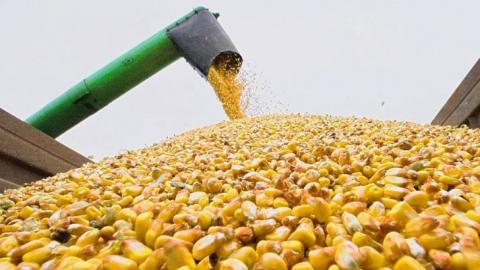 Україна експортуватиме кукурудзу до Зімбабве Рис.1