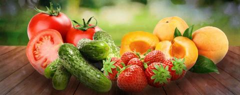 Українські вчені розробили економні сушарки для овочів і фруктів Рис.1