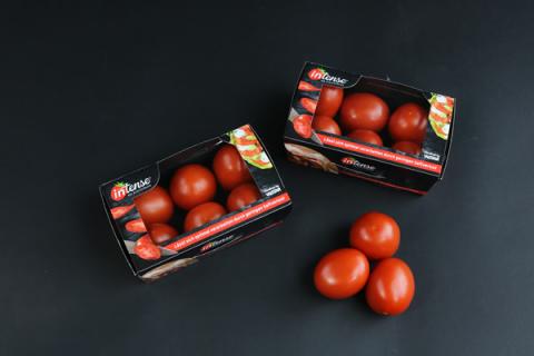 Компанія Valstar Holland вирощує томат-сливку Рис.1