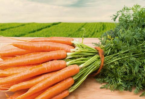Названо кращі сорти моркви для врожаю у 2020 році Рис.1