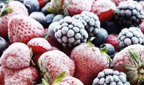T.B. Fruit запускає напрямок шокового заморожування овочів, фруктів та ягід Рис.1