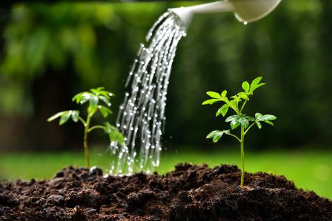 Аграріям обмежать воду в останню чергу — Держводагентство Рис.1