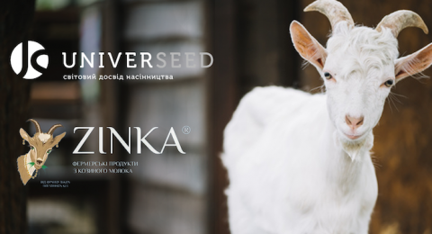 LNZ Group із брендом UNIVERSEED та Zinka починають співпрацю Рис.1